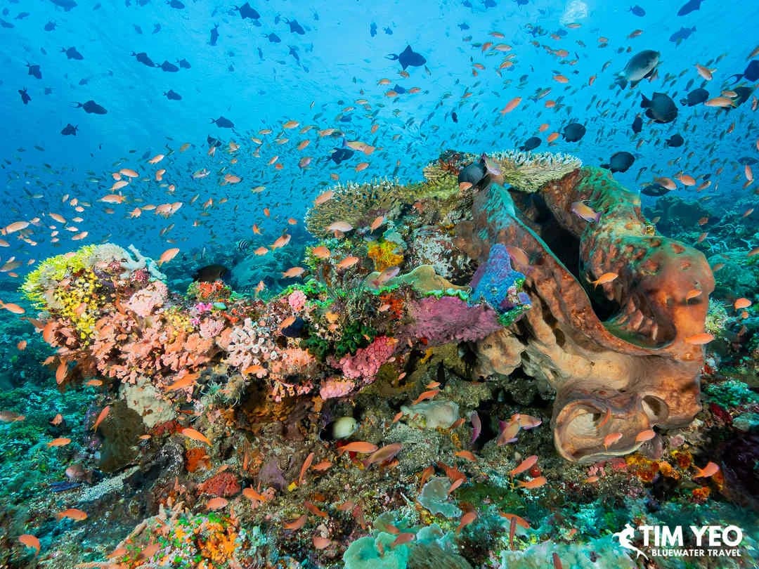 Alor Trip Recap 2025 - image Alor Trip Recap 2025 - image