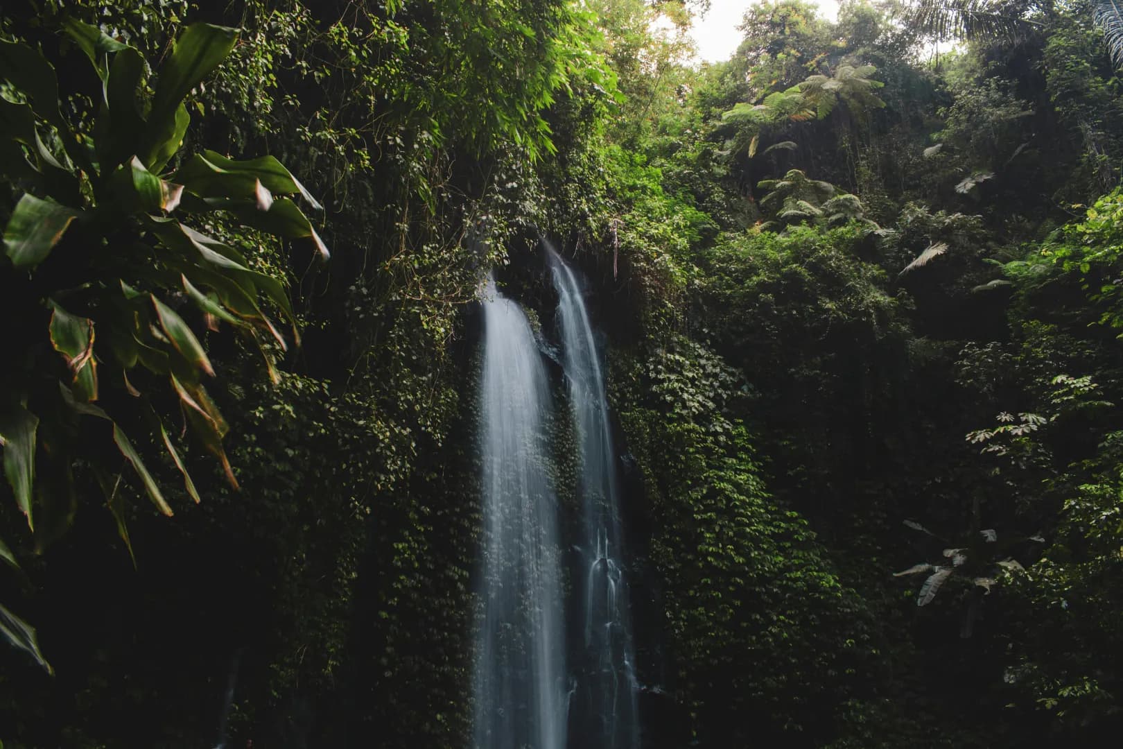 Komodo Trip Extensions - image Komodo Trip Extensions - image