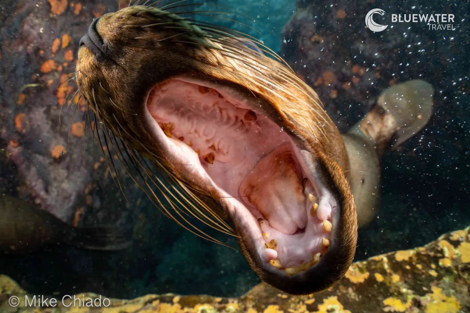 Explore Baja Trip Report 2025 - image Explore Baja Trip Report 2025 - image