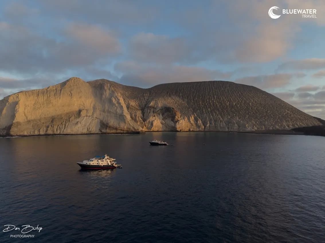 Socorro Trip Report 2026 - image Socorro Trip Report 2026 - image