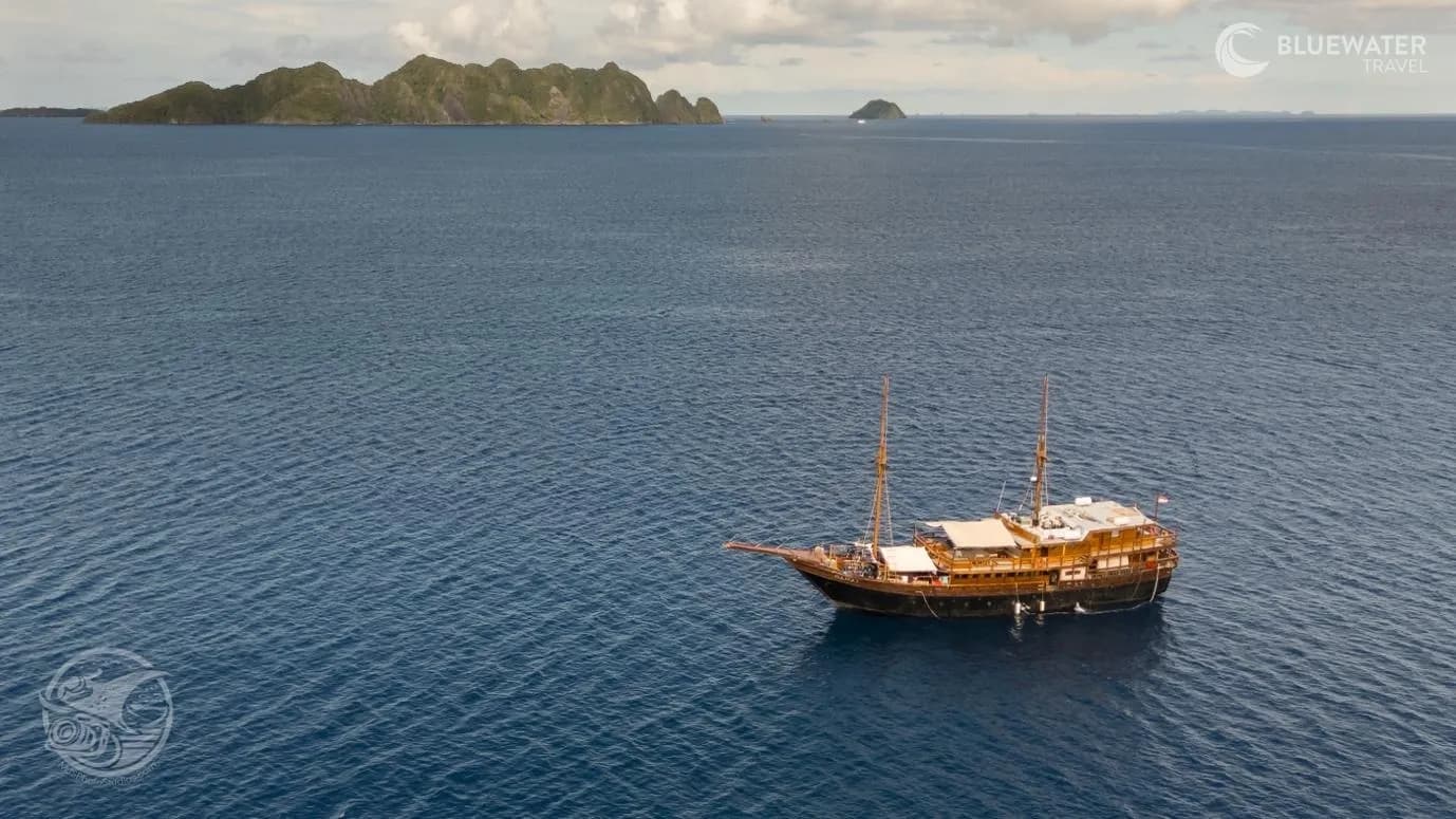 Raja Ampat Trip Report 2026 - image Raja Ampat Trip Report 2026 - image