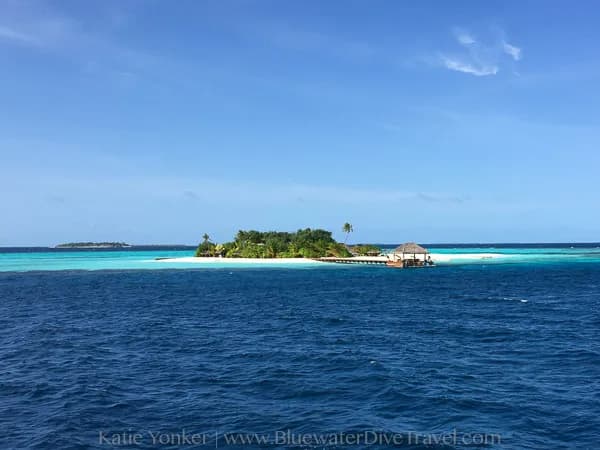 Maldives 2016 Trip Report and Photos - image Maldives 2016 Trip Report and Photos - image