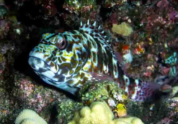 Thumbnail 4 Thumbnail 4