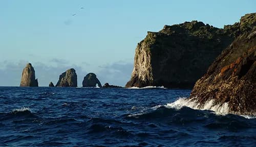 malpelo island