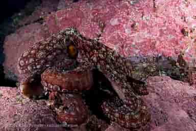 Thumbnail 5 Thumbnail 5