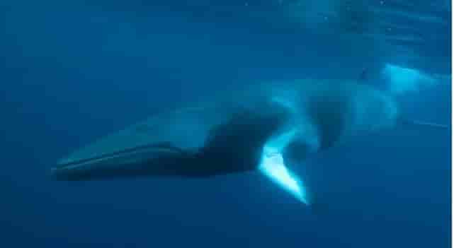 Thumbnail 5 Thumbnail 5