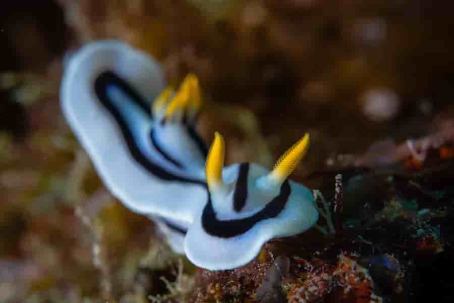 Thumbnail 3 Thumbnail 3