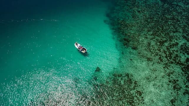 scuba diving in zanzibar