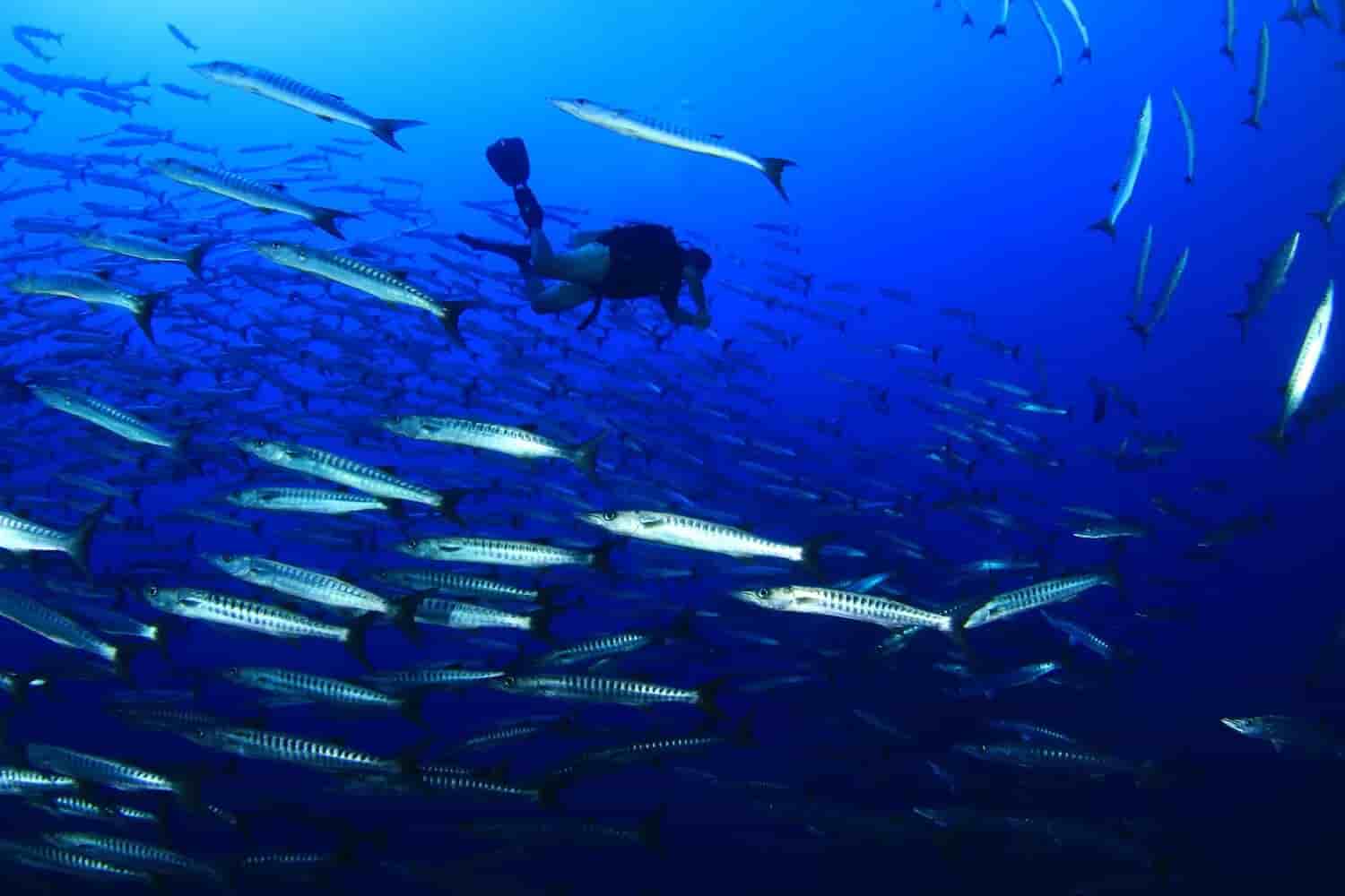 Thumbnail 1 Thumbnail 1