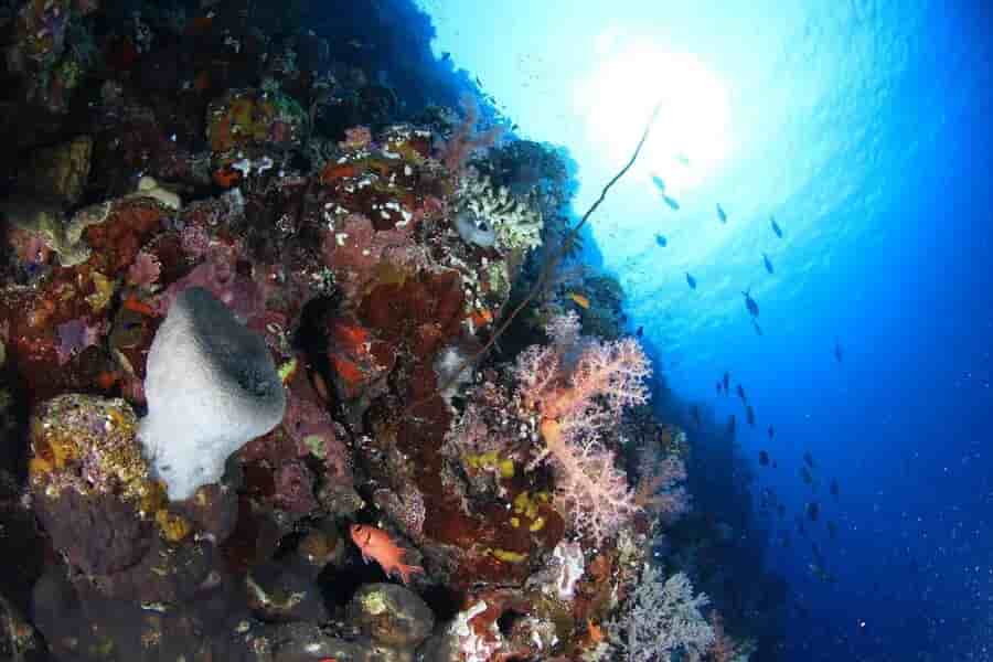 Thumbnail 5 Thumbnail 5