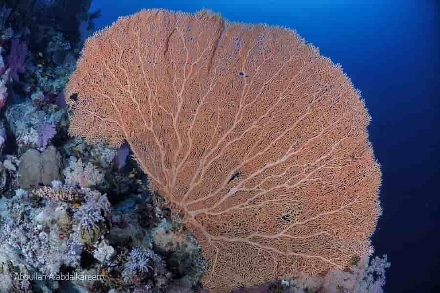 Thumbnail 7 Thumbnail 7