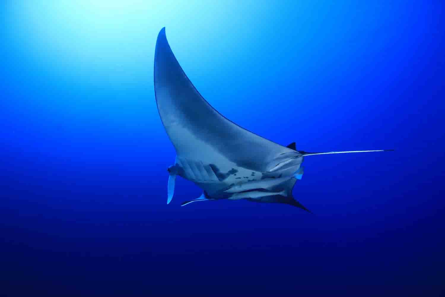 Thumbnail 8 Thumbnail 8