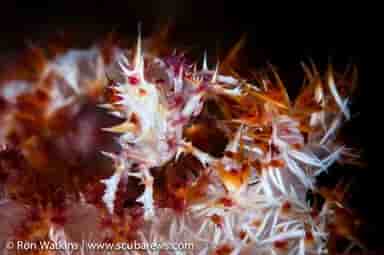 Thumbnail 1 Thumbnail 1