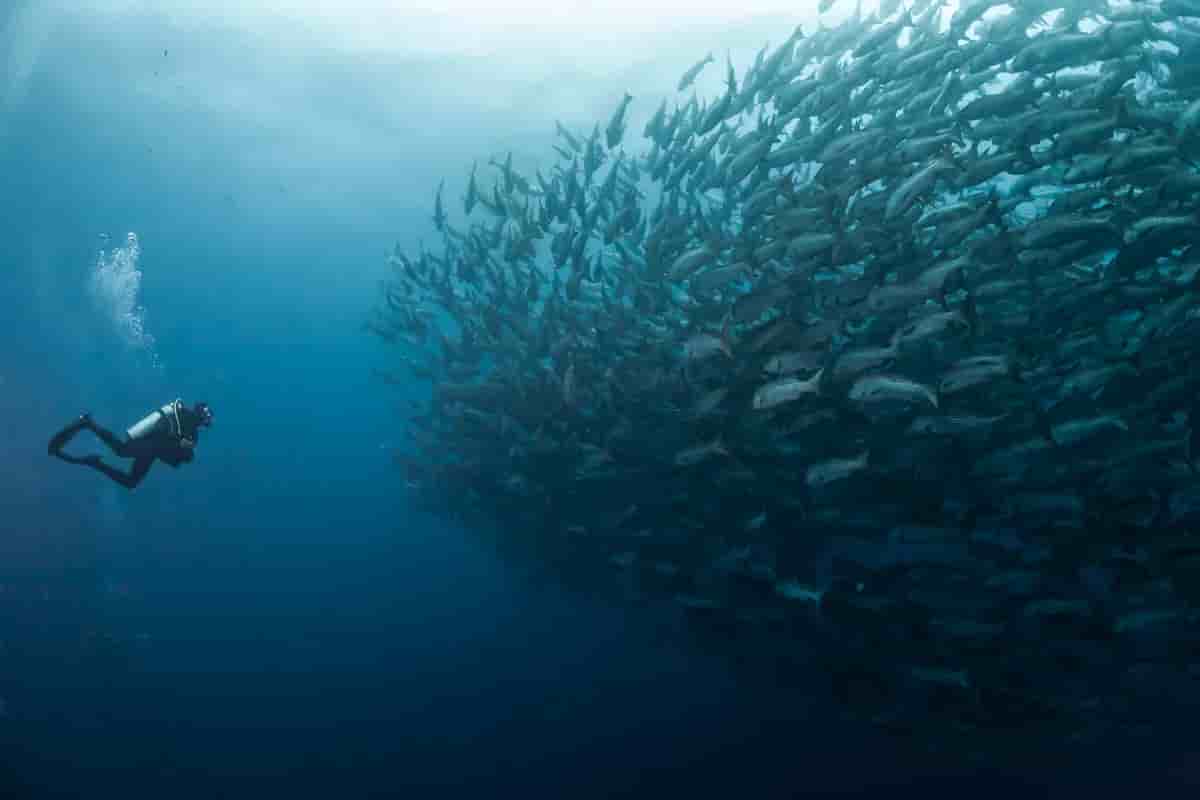 Thumbnail 4 Thumbnail 4