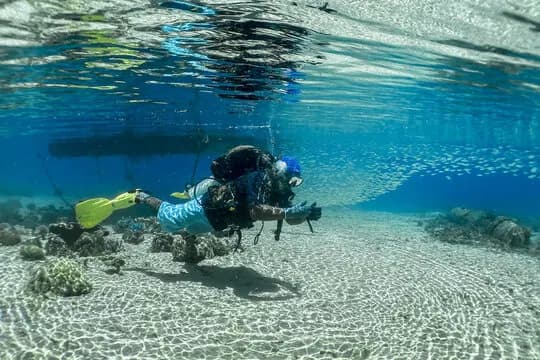 Diving in Vanuatu - image Diving in Vanuatu - image