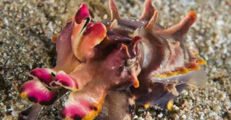 Thumbnail 4 Thumbnail 4