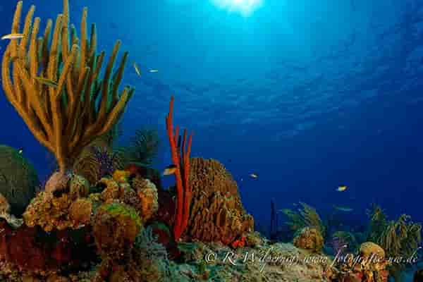 Thumbnail 6 Thumbnail 6