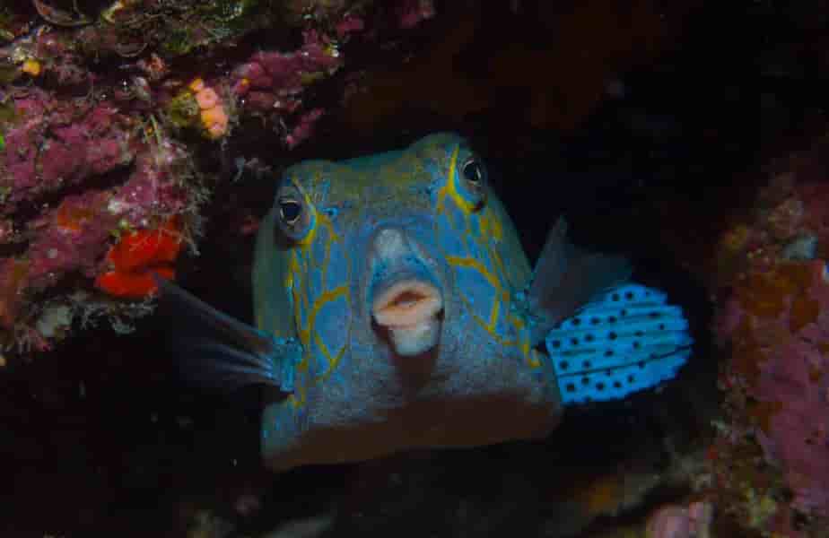 Thumbnail 6 Thumbnail 6