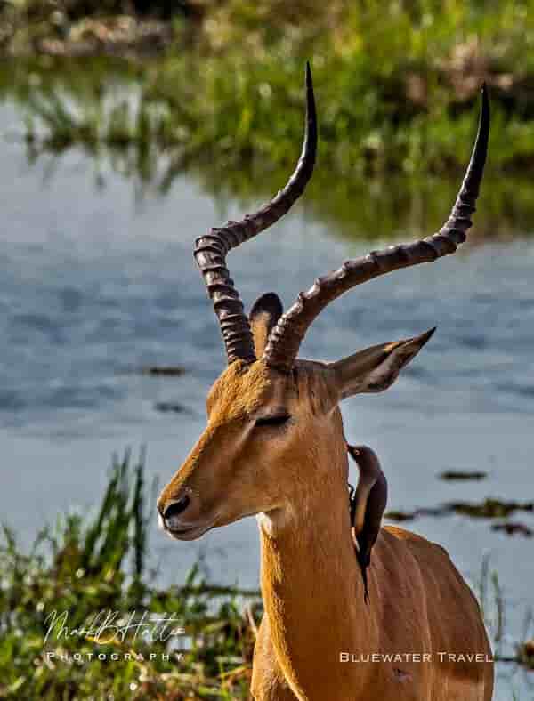 Thumbnail 2 Thumbnail 2