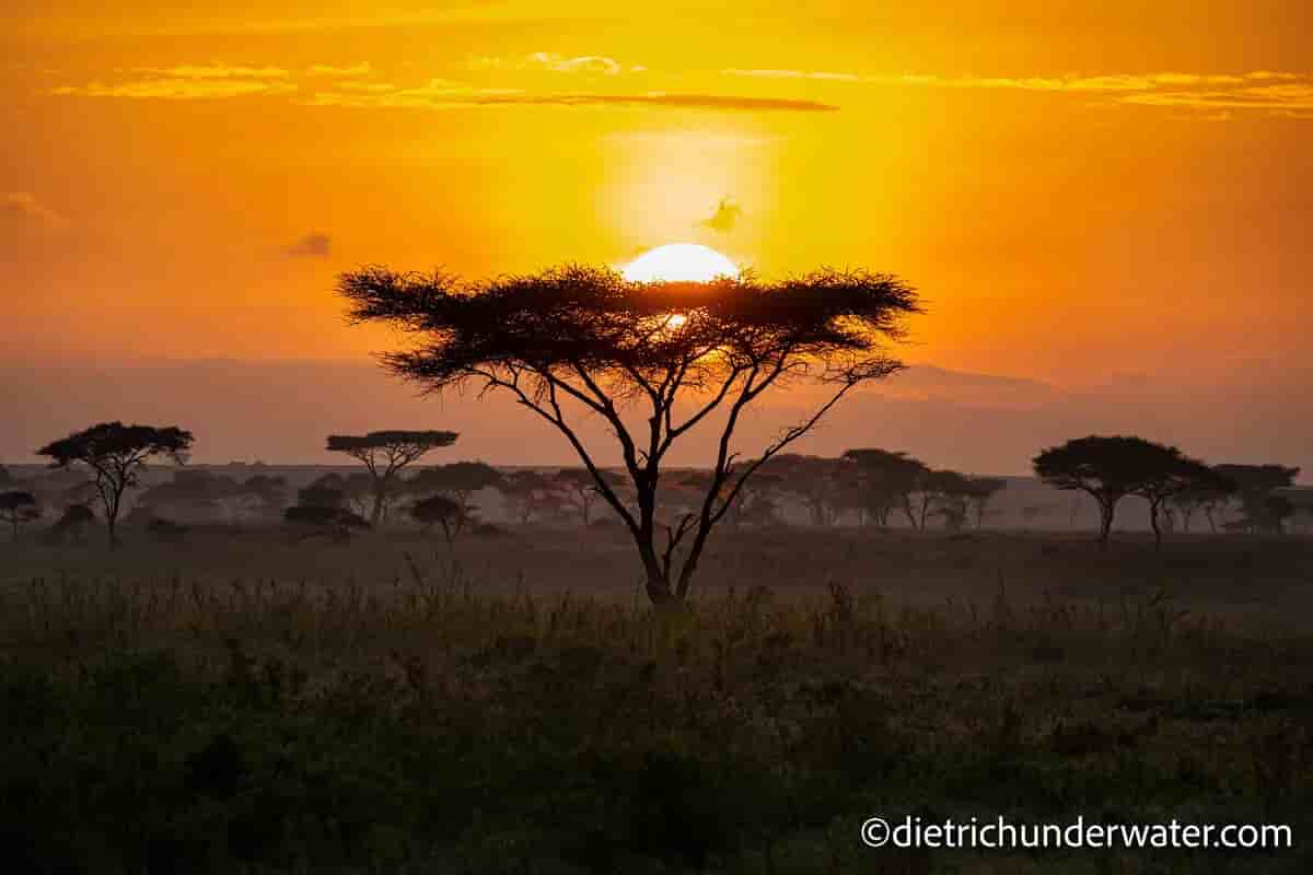 Thumbnail 5 Thumbnail 5