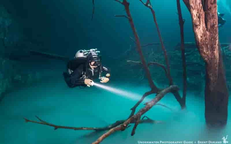 Thumbnail 1 Thumbnail 1