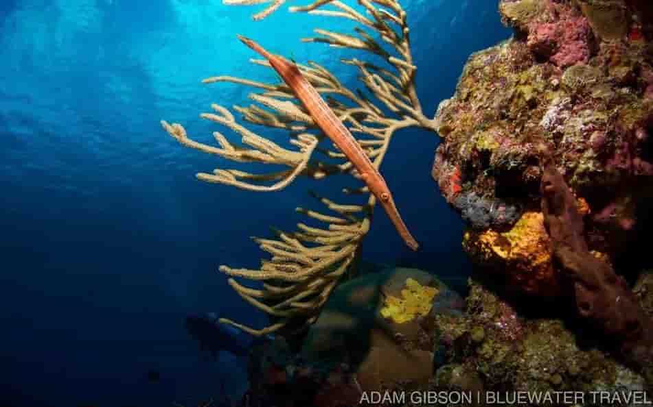 Thumbnail 5 Thumbnail 5