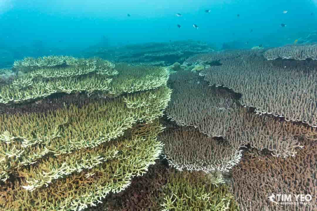 Thumbnail 4 Thumbnail 4