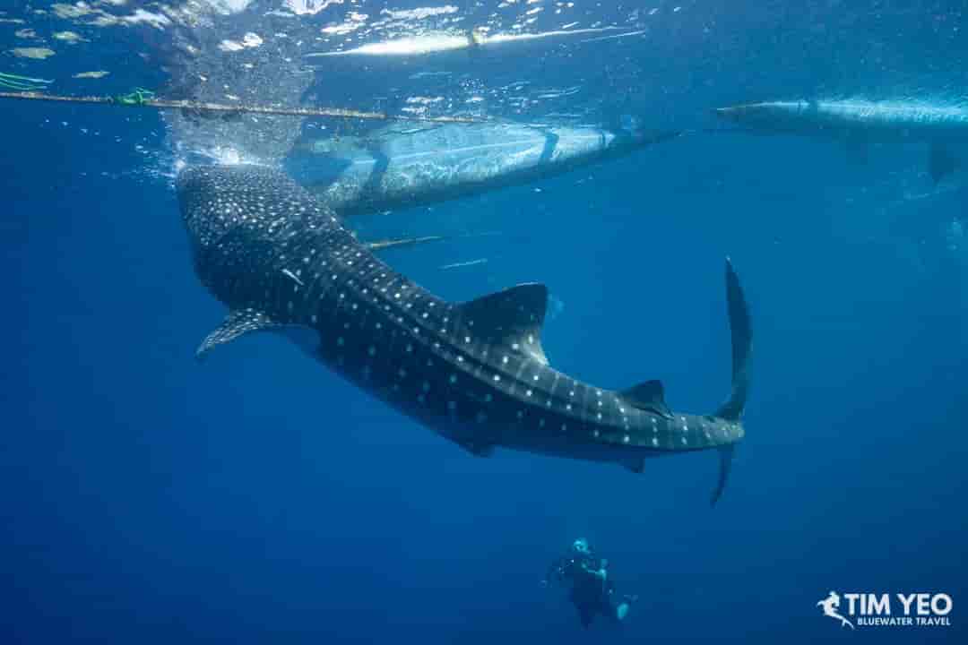 Thumbnail 8 Thumbnail 8