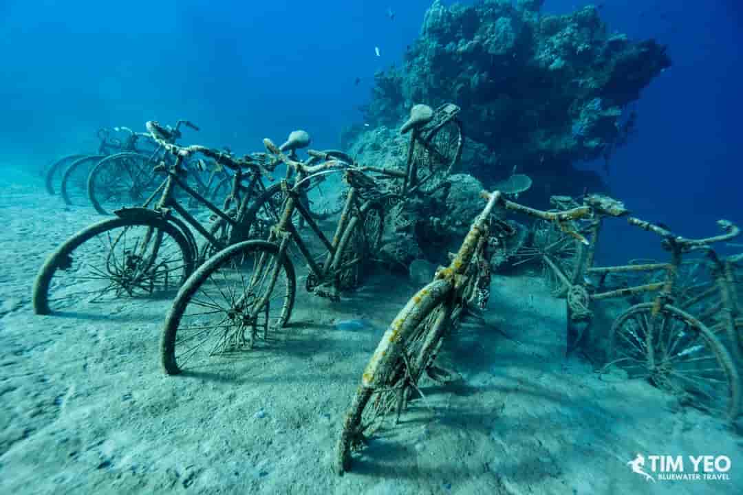 Thumbnail 9 Thumbnail 9