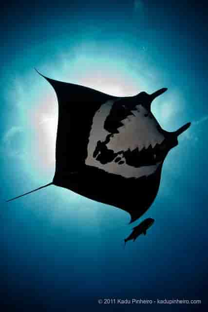 Thumbnail 10 Thumbnail 10