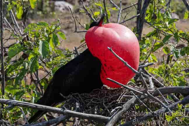 Thumbnail 2 Thumbnail 2