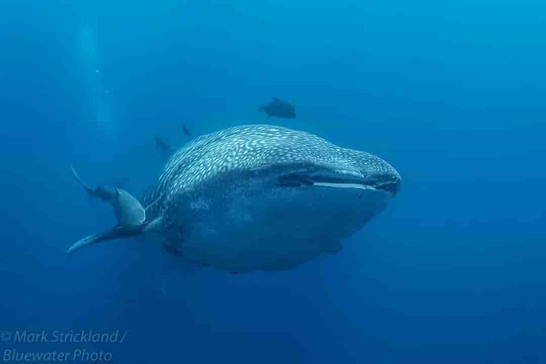 Thumbnail 4 Thumbnail 4