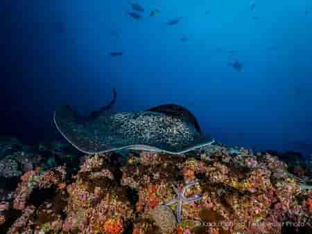 Thumbnail 5 Thumbnail 5