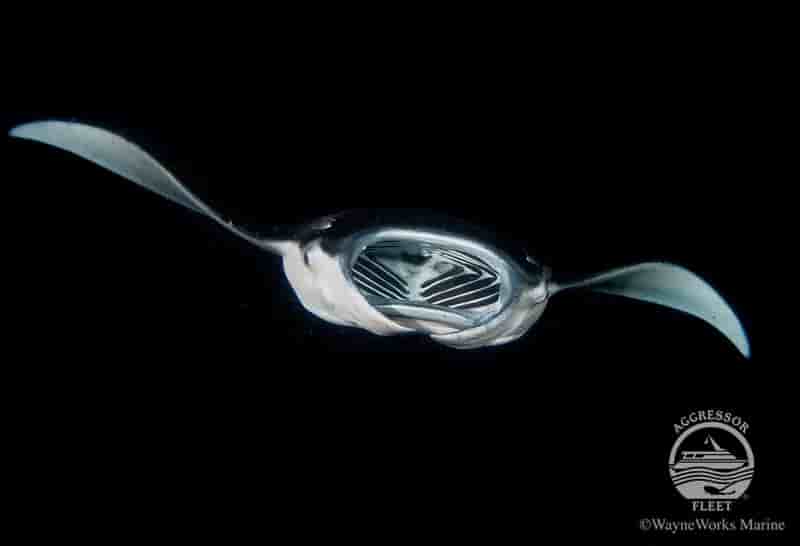 Thumbnail 4 Thumbnail 4