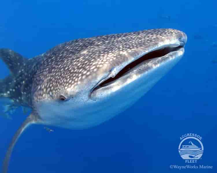 Thumbnail 5 Thumbnail 5