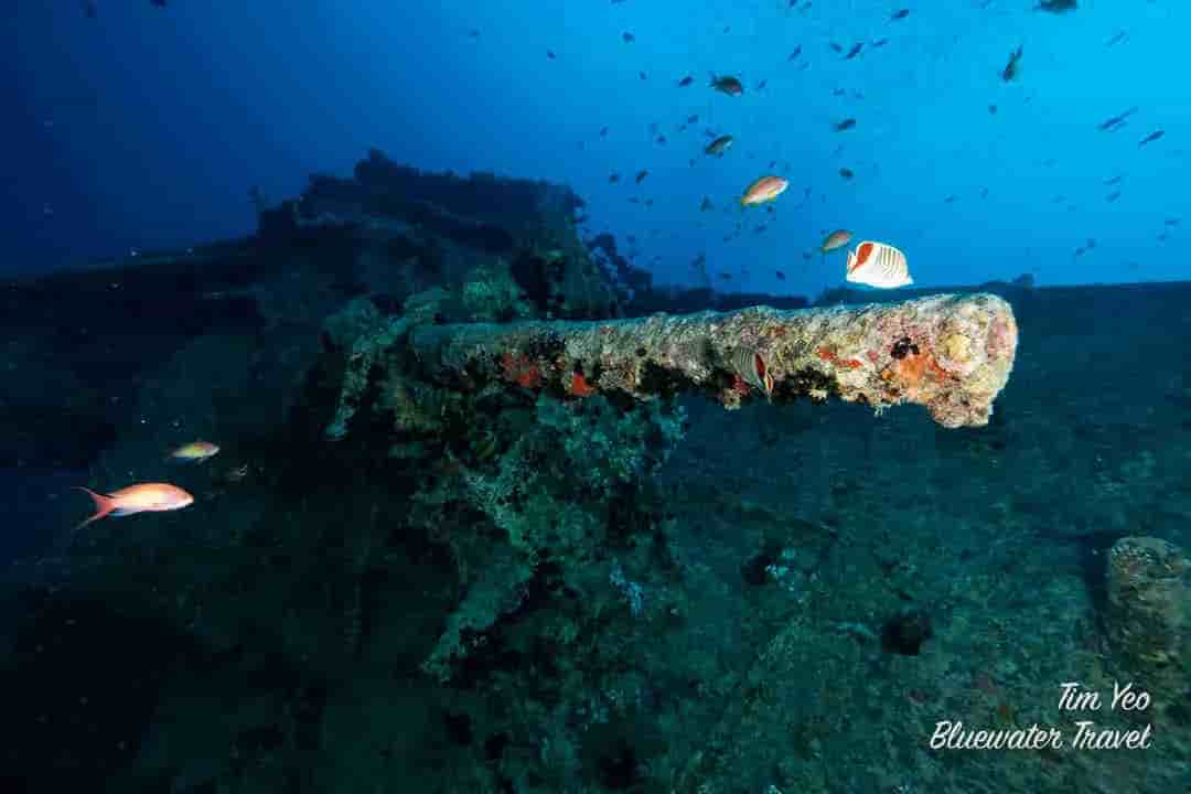 Thumbnail 7 Thumbnail 7