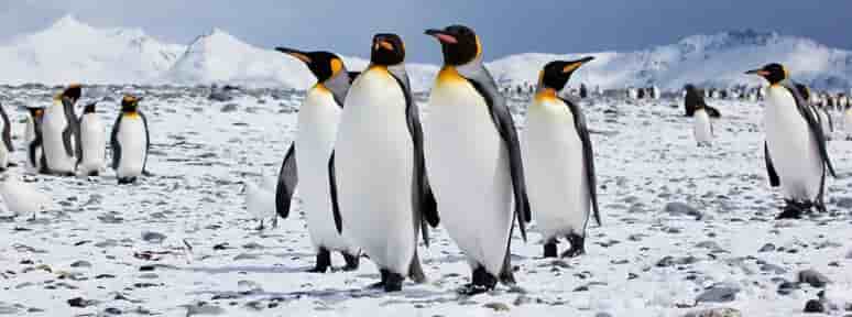 Thumbnail 3 Thumbnail 3