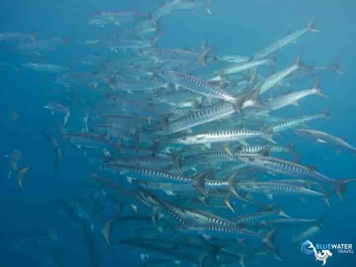 Thumbnail 9 Thumbnail 9