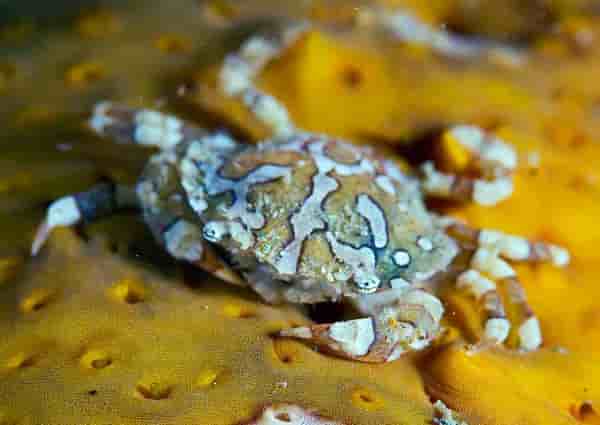 Thumbnail 2 Thumbnail 2