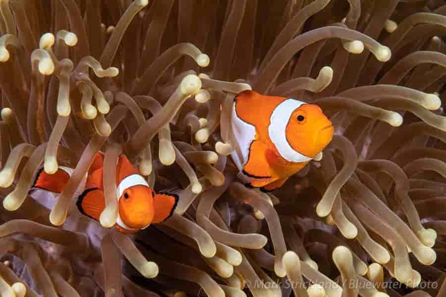 Thumbnail 2 Thumbnail 2