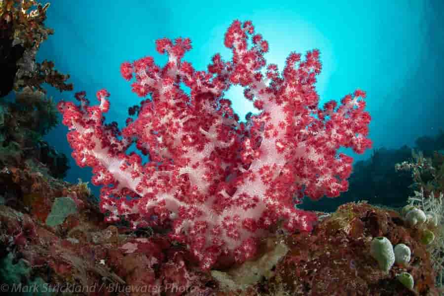 Thumbnail 3 Thumbnail 3