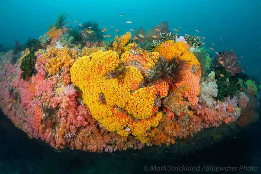 Thumbnail 4 Thumbnail 4