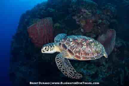 Thumbnail 2 Thumbnail 2