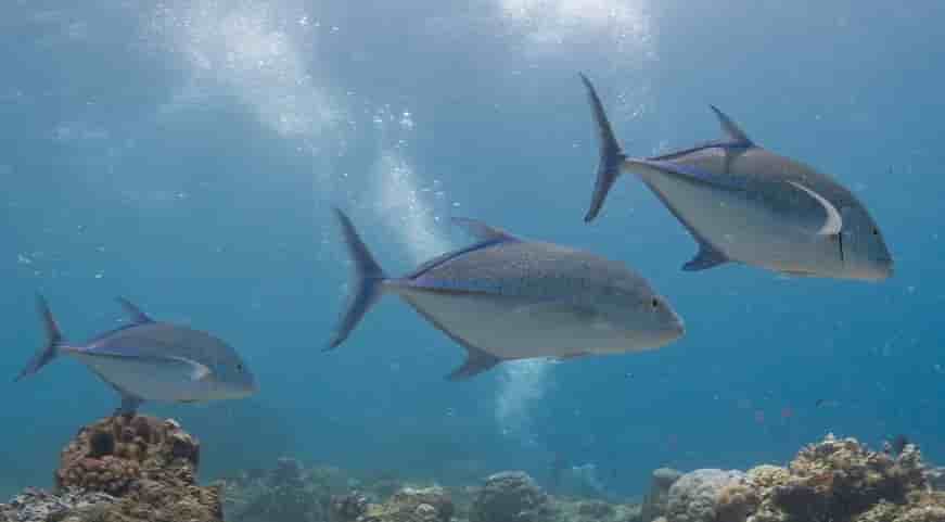 Thumbnail 4 Thumbnail 4