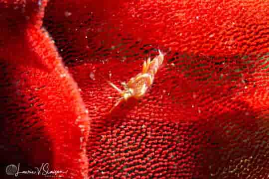 Thumbnail 4 Thumbnail 4