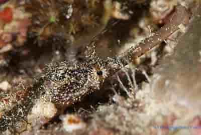 Thumbnail 1 Thumbnail 1