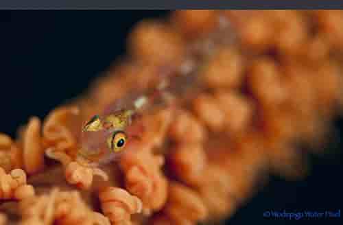 Thumbnail 5 Thumbnail 5