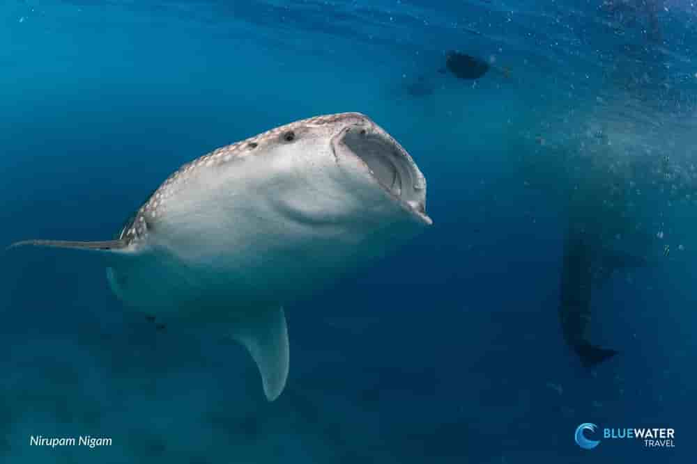 Thumbnail 2 Thumbnail 2