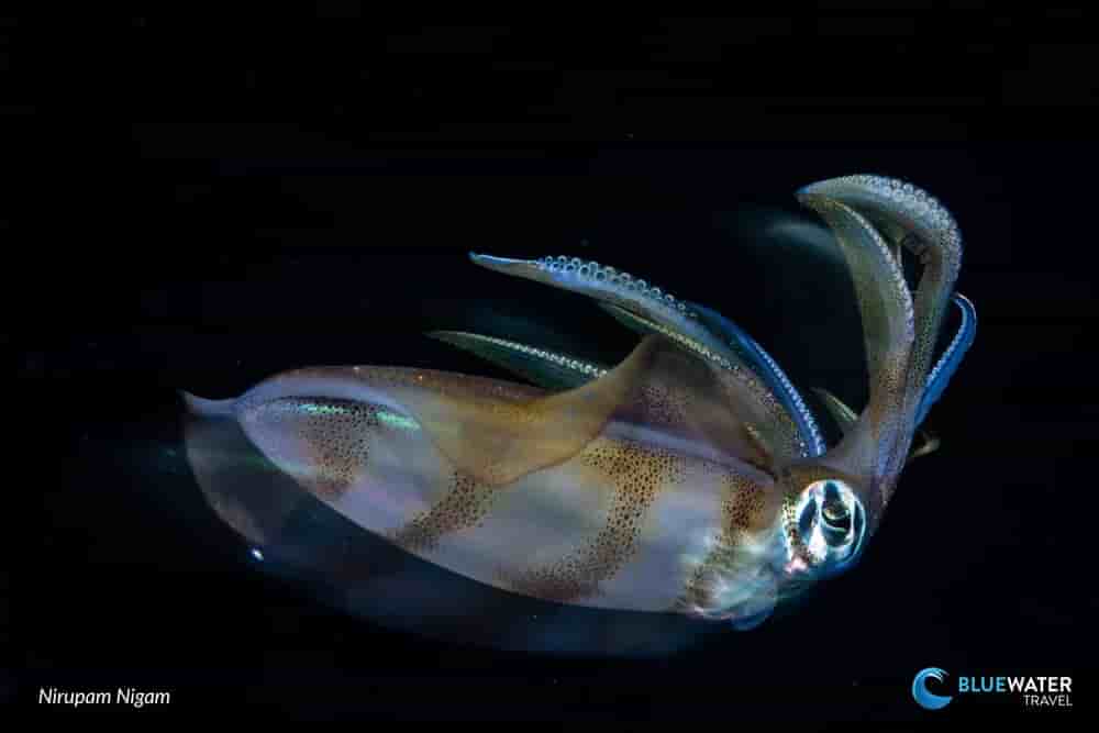 Thumbnail 3 Thumbnail 3