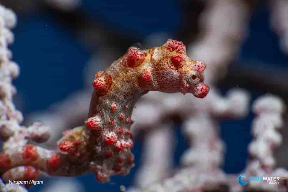 Thumbnail 4 Thumbnail 4